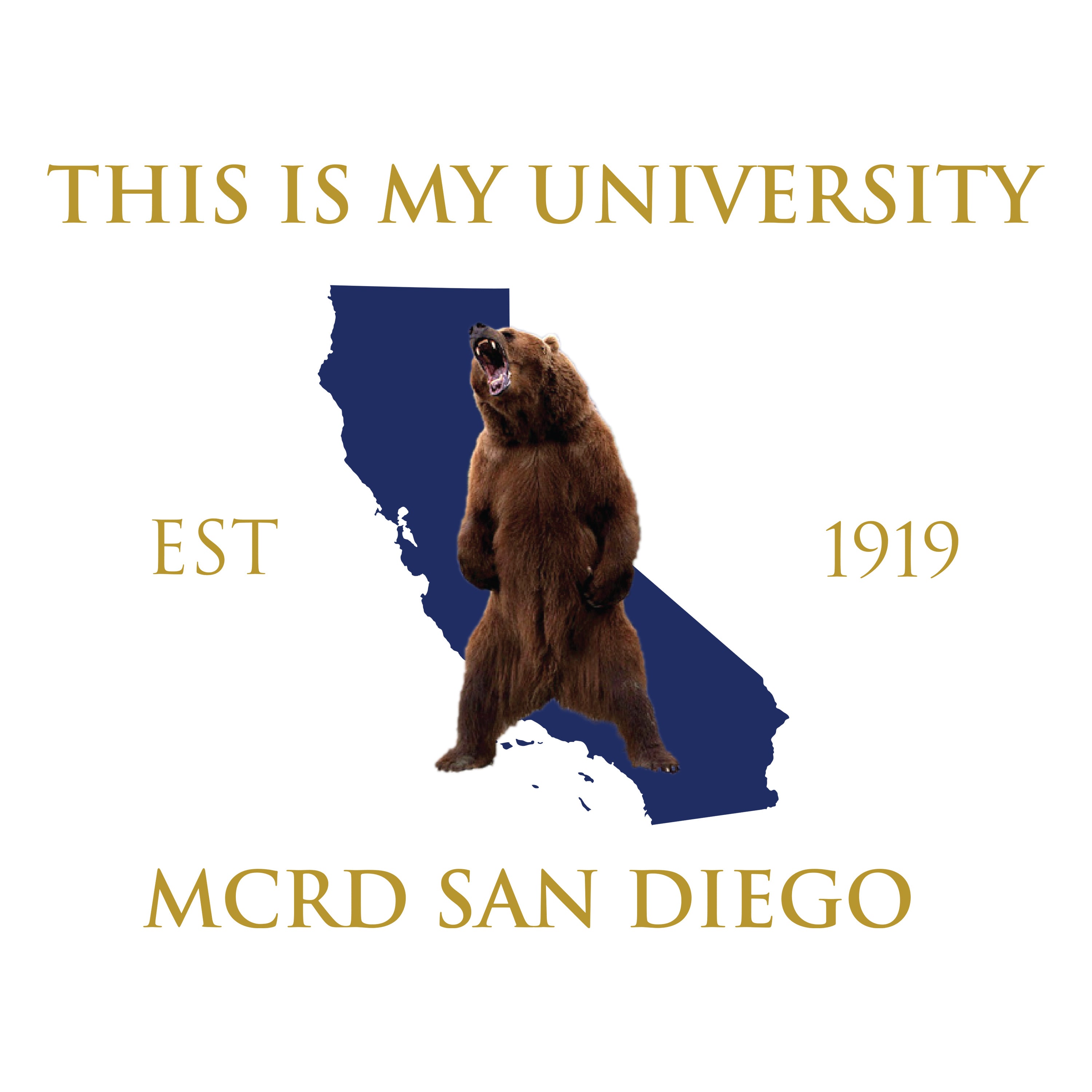 USMC Fraternity Hoodie – San Diego Edition