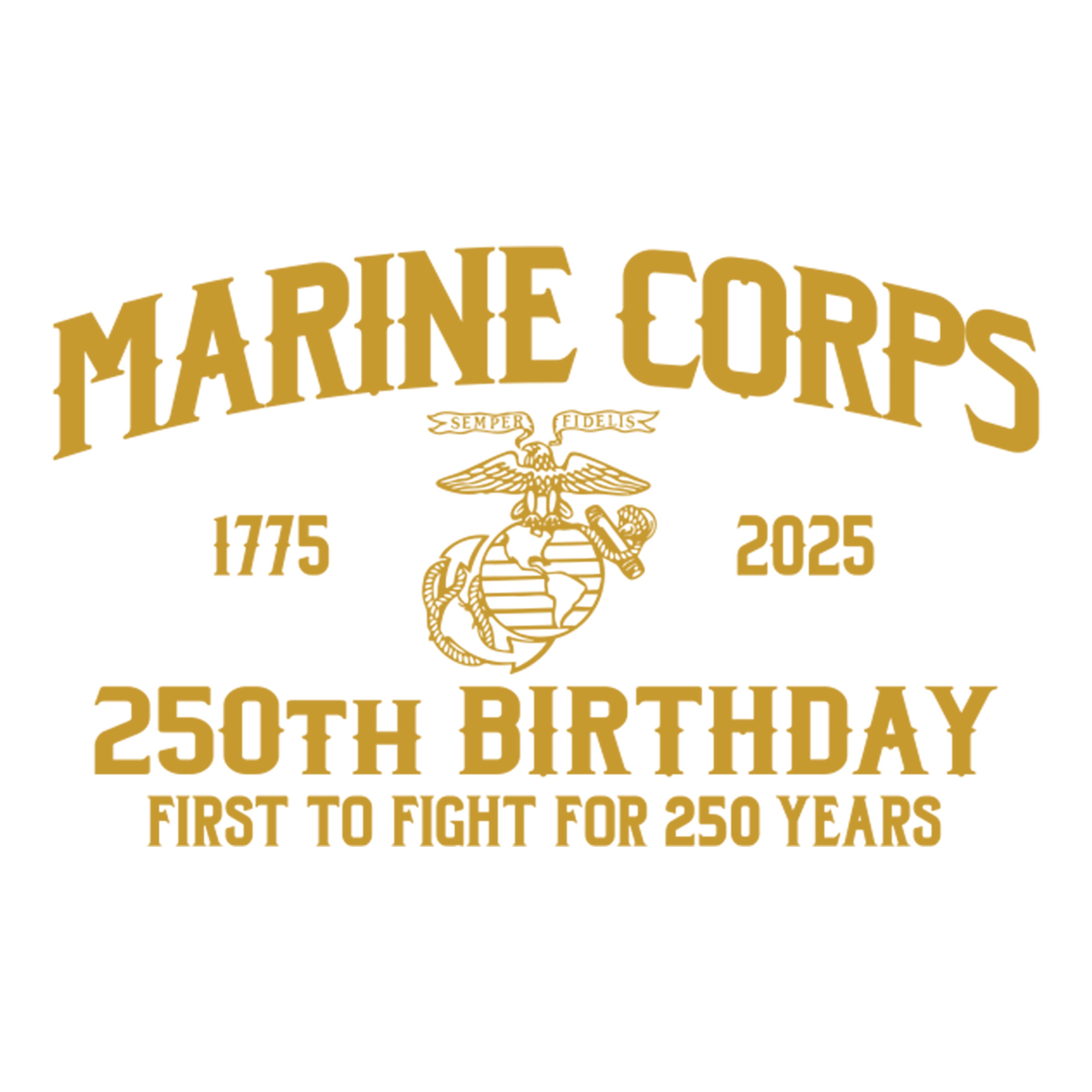 Marines Born In A Bar Skull 250th Birthday Hoodie